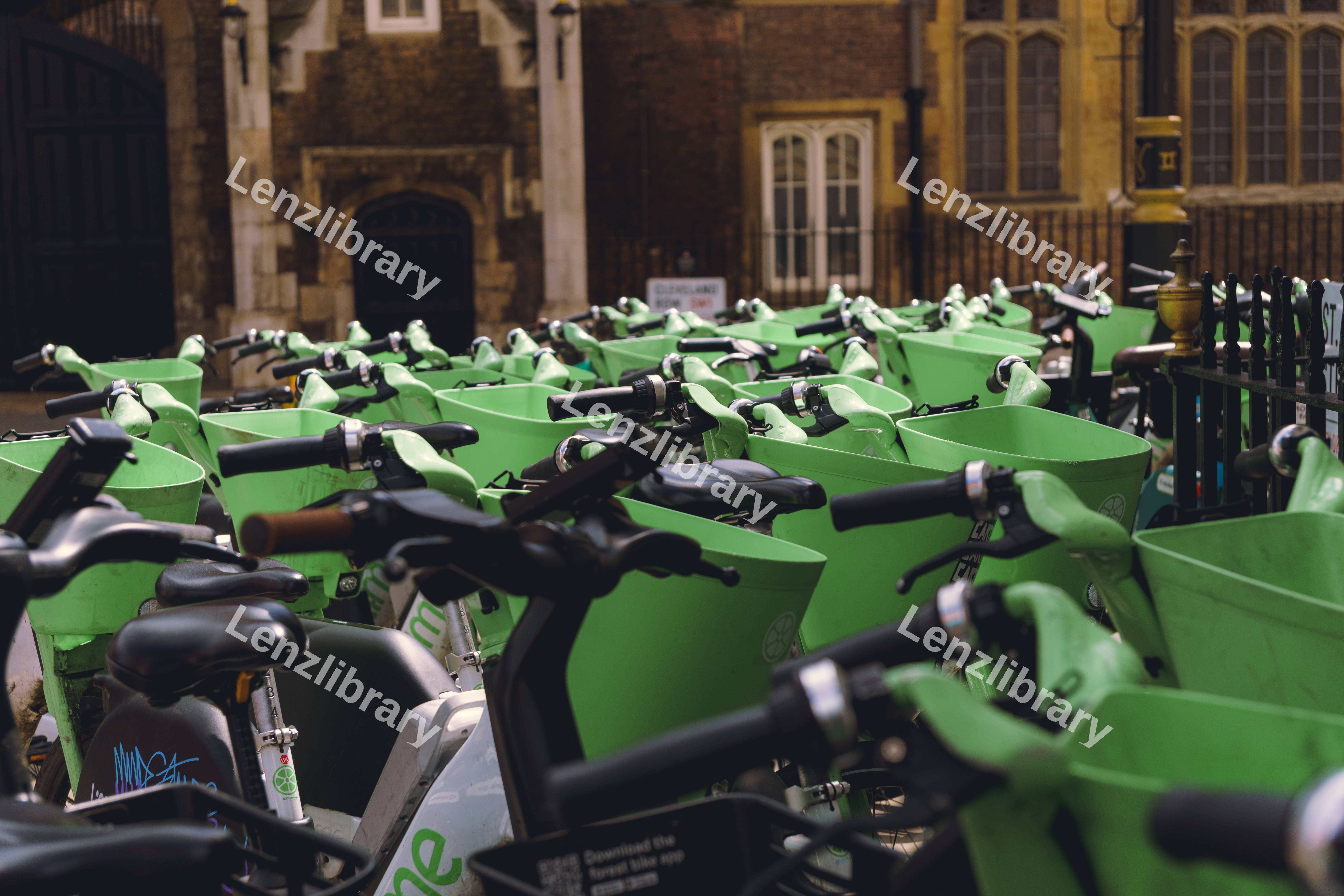 Sea of Lime Bikes
